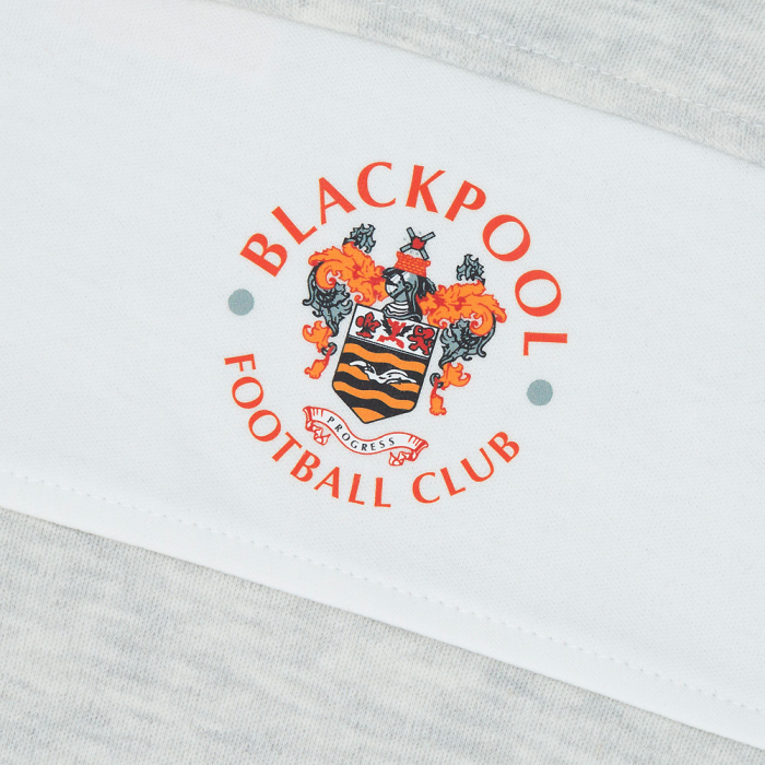 Baby Sweatshirt Jog Suit