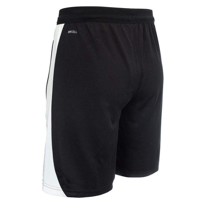 Puma TeamFINAL Training Shorts Ad
