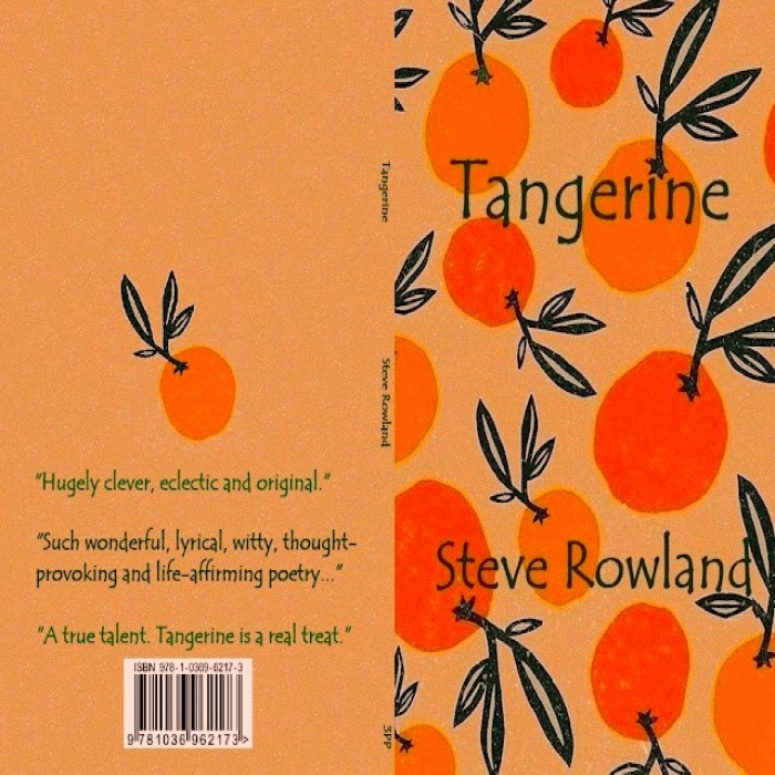 Tangerine Poems by Steve Rowland