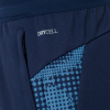 Puma TeamCUP Shorts Adult