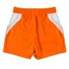 26-27 Junior Third Shorts