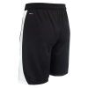 Puma TeamFINAL Training Shorts Ad