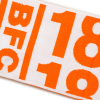 Crest Pattern Double Sided Scarf