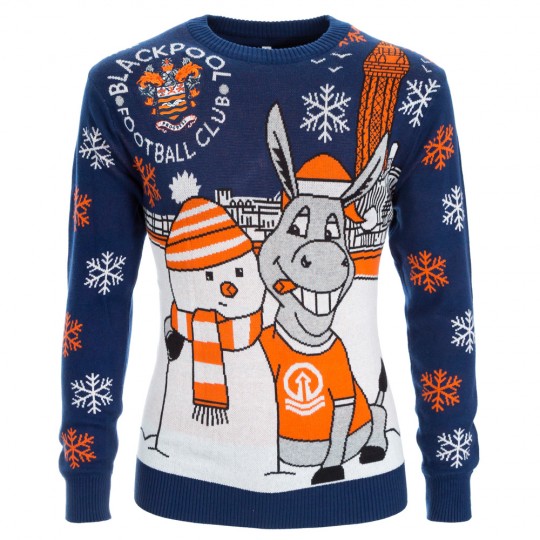Christmas Jumper Donkey