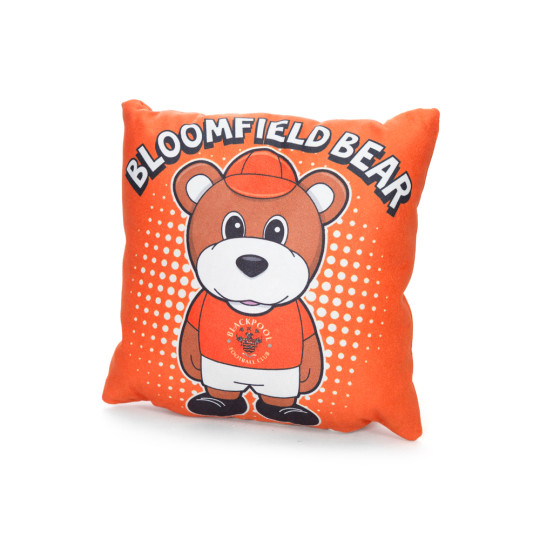 Small Suede Effect Cushion - Bloomfield Bear