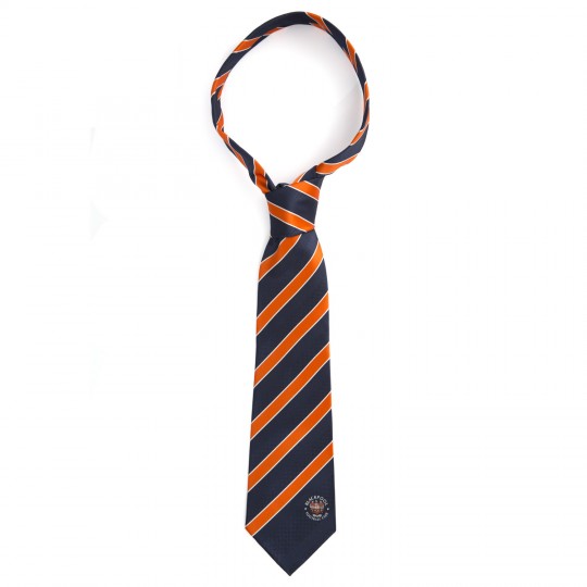 Blue and Tangerine Tie