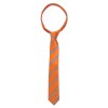 Tangerine and Navy Striped Tie