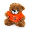 Small Brown Bear Soft Toy