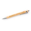 Bamboo Pen