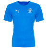 Puma TeamFINAL Training Jersey Adult 