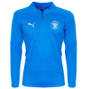 Puma TeamFINAL Training 1/4 Zip Top Adult 