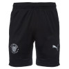 Puma TeamFINAL Training Shorts Ad