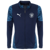 Puma TeamCUP Training Jacket Adult