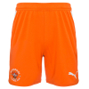 26-27 Adult Third Shorts
