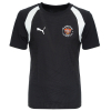 Puma TeamFINAL Training Jersey Adult 