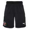 Puma TeamFINAL Training Shorts Ad