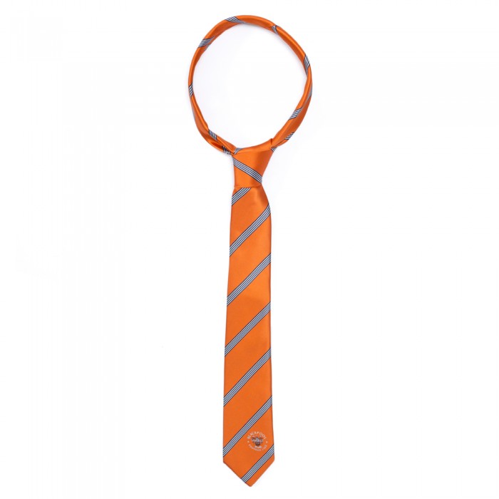 Tangerine and Navy Striped Tie