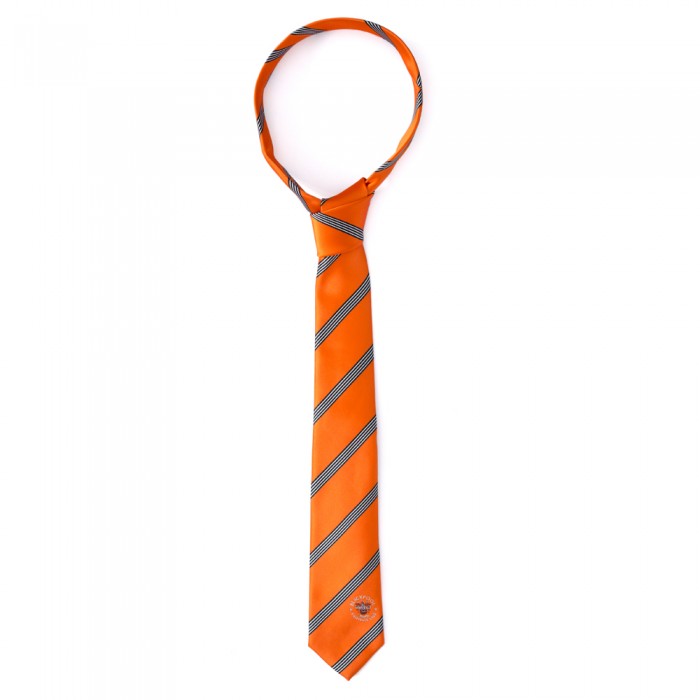 Tangerine and Black Striped Tie