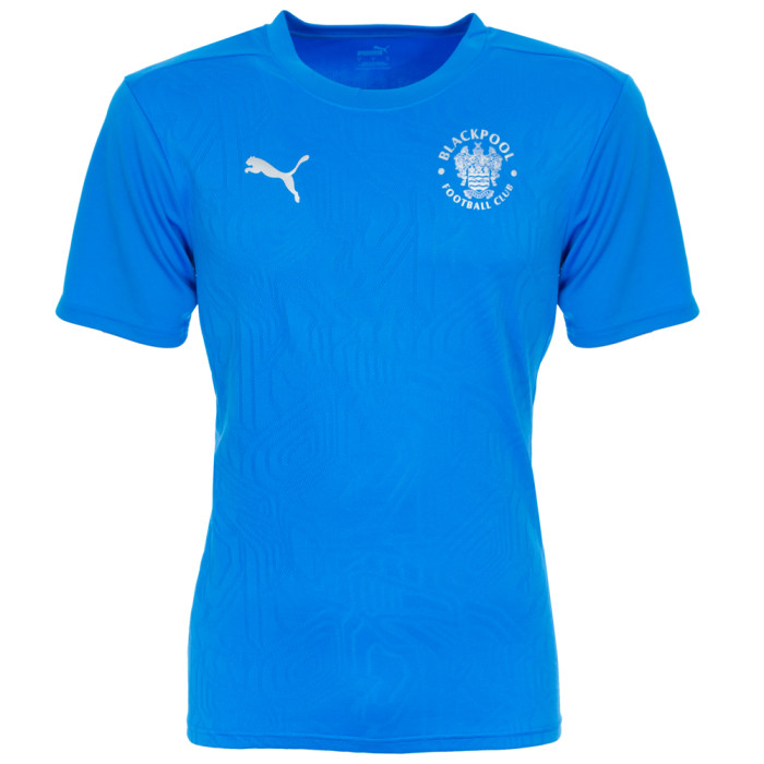 Puma TeamFINAL Training Jersey Adult 