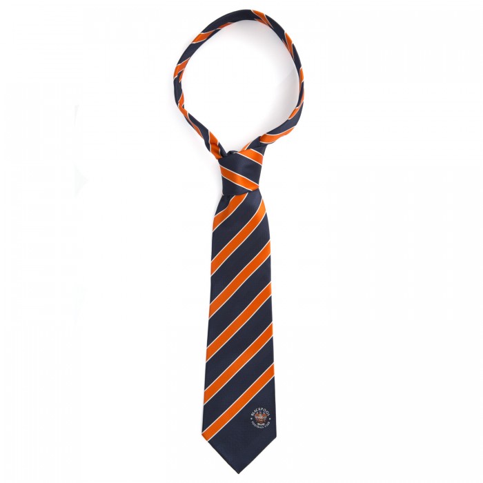 Blue and Tangerine Tie