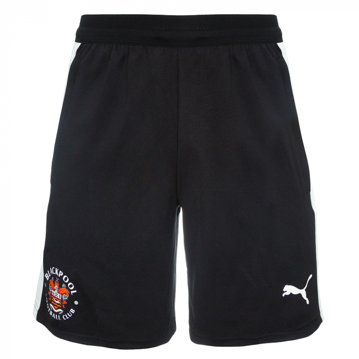 Puma TeamFINAL Training Shorts Ad